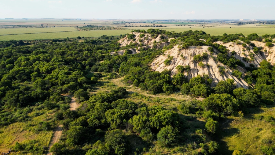 0 Bedroom Property for Sale in Hennenman Rural Free State